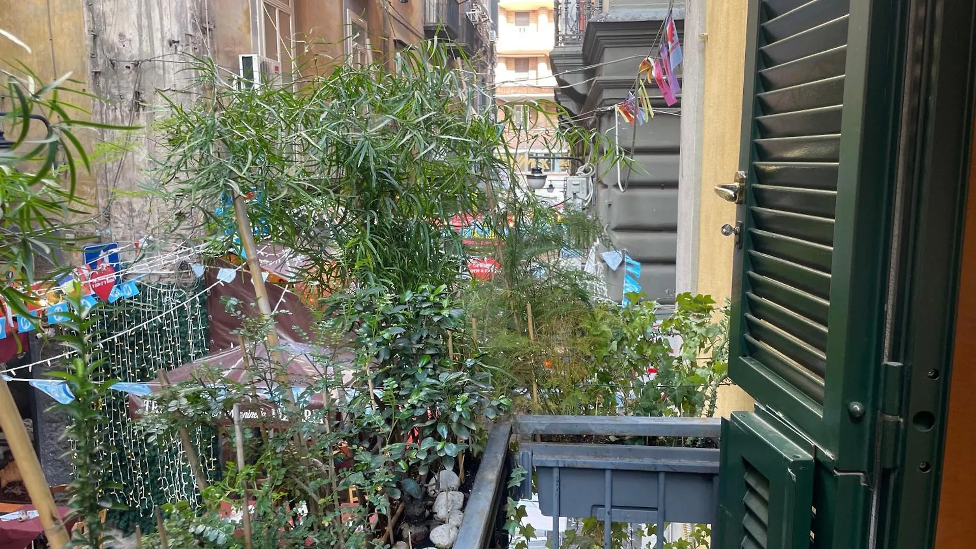 Toledo Center Apartment Naples
